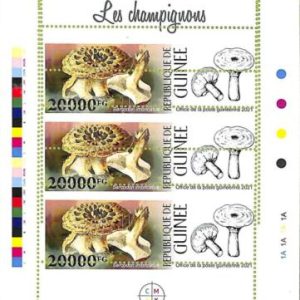 A8072 - REP.GUINEE - ERROR MISPERF  Stamp Sheet - 2021 Plants Mushrooms
