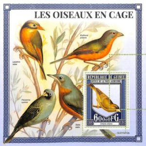 A7964 - REP.GUINEE -  ERROR MISPERF  Stamp Sheet -2021  BIRDS Animals