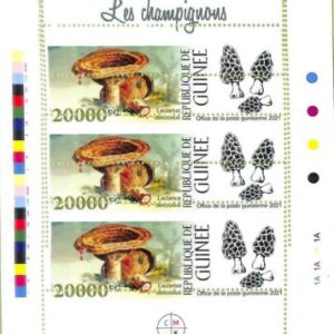A8071 - REP.GUINEE - ERROR MISPERF  Stamp Sheet - 2021 Plants Mushrooms