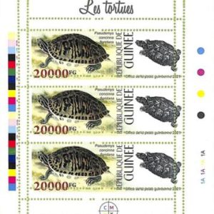 A8078 - REP.GUINEE - ERROR MISPERF  Stamp Sheet - 2021 TURTLES Reptiles