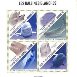 A7981 - REP.GUINEE - ERROR MISPERF  Stamp Sheet -2021 Whales Marine mammals