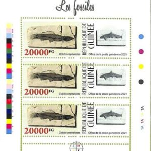 A8068 - REP.GUINEE - ERROR MISPERF  Stamp Sheet - 2021 Fossils