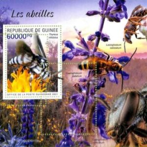 A7959 - REP.GUINEE - ERROR MISPERF  Stamp Sheet -2021 INSECTS Bees