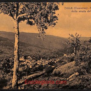 ae0528 - CARTOLINA  D'EPOCA - Arezzo Provincia - Talla  1961