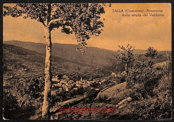 ae0528 - CARTOLINA  D'EPOCA - Arezzo Provincia - Talla  1961