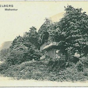 33600 - Ansichtskarten VINTAGE POSTCARD - Deutschland GERMANY -  Heidelberg
