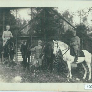 10003 --  VINTAGE POSTCARD Ansichtskarten - Polen POLAND: Las Wolski 1915