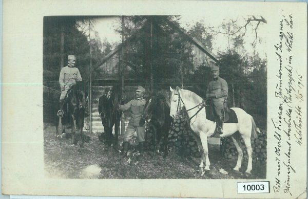 10003 --  VINTAGE POSTCARD Ansichtskarten - Polen POLAND: Las Wolski 1915