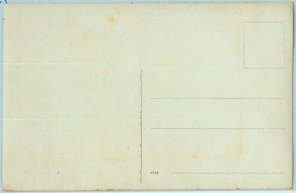 10003 --  VINTAGE POSTCARD Ansichtskarten - Polen POLAND: Las Wolski 1915 - immagine 3