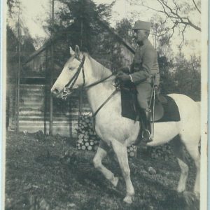 10002 --  VINTAGE POSTCARD Ansichtskarten - Polen POLAND: Las Wolski 1915