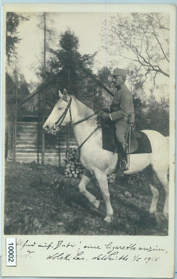 10002 --  VINTAGE POSTCARD Ansichtskarten - Polen POLAND: Las Wolski 1915