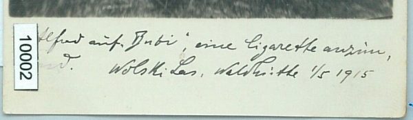 10002 --  VINTAGE POSTCARD Ansichtskarten - Polen POLAND: Las Wolski 1915 - immagine 2