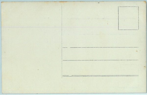 10002 --  VINTAGE POSTCARD Ansichtskarten - Polen POLAND: Las Wolski 1915 - immagine 3