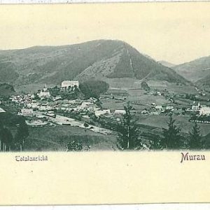 00349   - VINTAGE POSTCARD Ansichtskarten - AUSTRIA Österreich -  MURAU