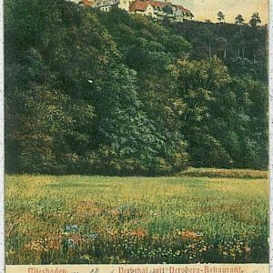 33545 - Ansichtskarten VINTAGE POSTCARD - Deutschland GERMANY - Wiesbaden 1903