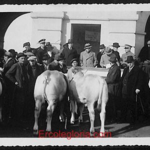 ae0675 - CARTOLINA  D'EPOCA - Asti Città - Vera foto