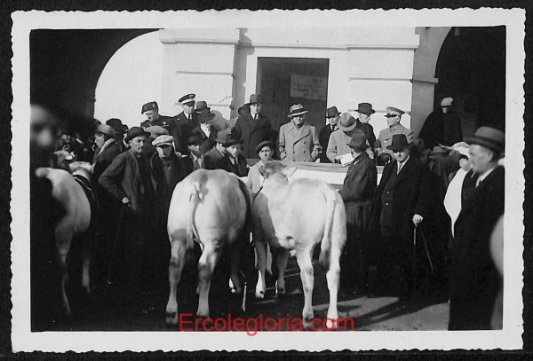 ae0675 - CARTOLINA  D'EPOCA - Asti Città - Vera foto