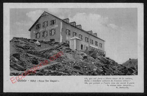 ae4023 - CARTOLINA  D'EPOCA - Bolzano Provincia - Stelvio