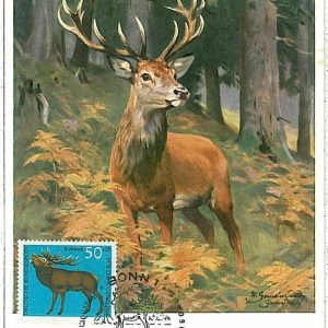 32188 - GERMANY - POSTAL HISTORY -- MAXIMUM CARD Deer HUNTING Animals, 1966