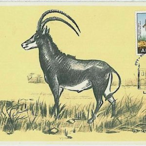 32117 - Angola - POSTAL HISTORY - MAXIMUM CARD  Wild Animals SAFARI fauna 1958