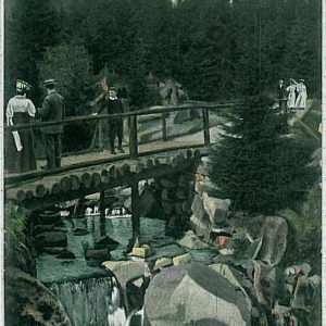 33122  Ansichtskarten VINTAGE POSTCARD: GERMANY -   Harz  1909