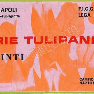 ZA1031   - Vecchio  BIGLIETTO PARTITA  CALCIO -  1975/1976: Napoli