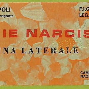 ZA1035   - Vecchio  BIGLIETTO PARTITA  CALCIO -  1975/1976: Napoli