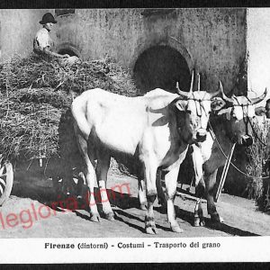 ae7278 - CARTOLINA D'EPOCA - Firenze Città - Costumi