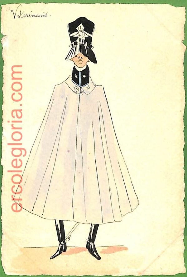 ah1736 - CARTOLINA EPOCA dipinta a MANO - Costume Militare VETERINARIO