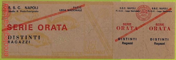 ZA1209 - Vecchio  BIGLIETTO PARTITA  CALCIO -  1978/1979: Napoli