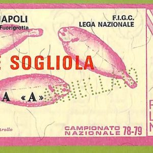 ZA1260 - Vecchio  BIGLIETTO PARTITA  CALCIO -  1978/1979: Napoli