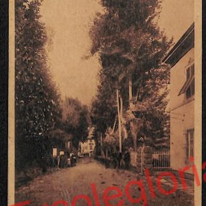 ag6422 - CARTOLINA D'EPOCA - Lucca Provincia - Bagni di Lucca