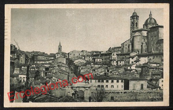 ah6540 - CARTOLINE  D'EPOCA - Urbino Città - Panorama