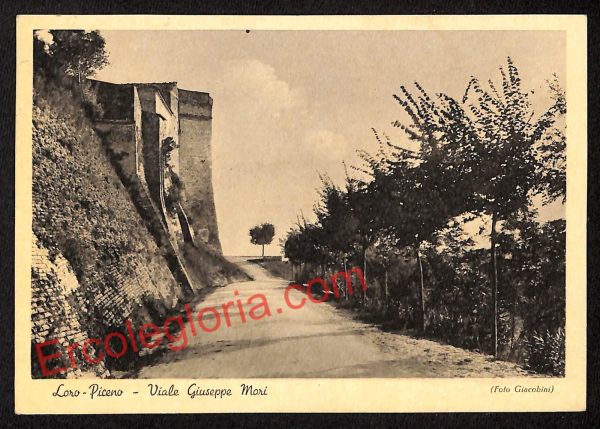 ag7570 - CARTOLINA D'EPOCA - Macerata Provincia - Loro Piceno