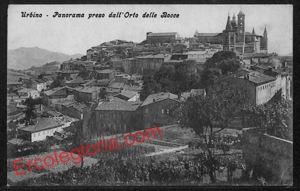 ah6562 - CARTOLINE  D'EPOCA - Urbino Città - Panorama dall' Orto delle Bocce