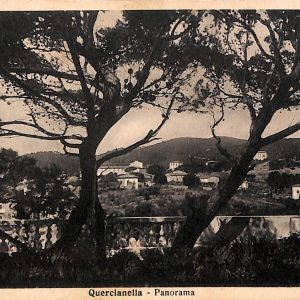 ac8132 - CARTOLINA D'EPOCA - Livorno Provincia - Quercianella
