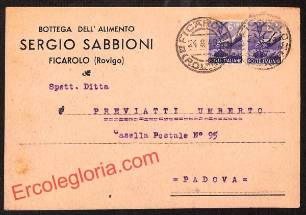 ai1193 - STORIA POSTALE - Rovigo Provincia - Ficarolo