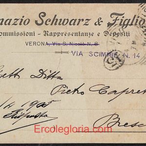 ae3005 - CARTOLINA  D'EPOCA - Verona Città - Ignazio Schwarz