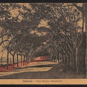 ae5584 - CARTOLINA D'EPOCA - Crotone Città - Viale Regina Margherita   1917