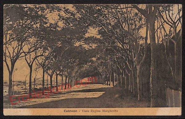 ae5584 - CARTOLINA D'EPOCA - Crotone Città - Viale Regina Margherita   1917