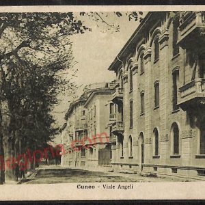 ae5593 - CARTOLINA D'EPOCA - Cuneo Città - Viale Angeli  1920