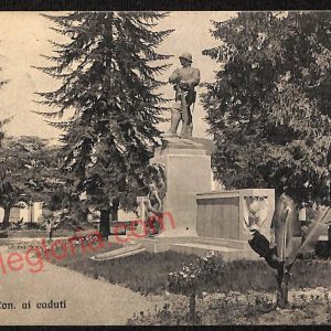 ae5601 - CARTOLINA D'EPOCA - Cuneo Città - Monumento ai caduti