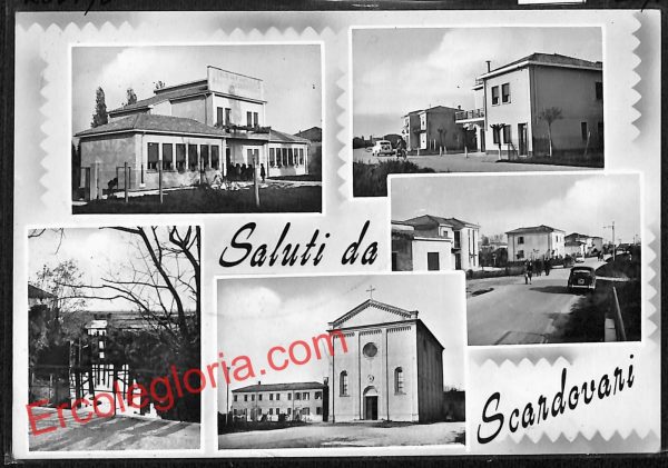 ai1216 - CARTOLINA D'EPOCA - Rovigo Provincia - Scardovari
