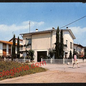 ai1221 - CARTOLINA D'EPOCA - Rovigo Provincia - Zelo