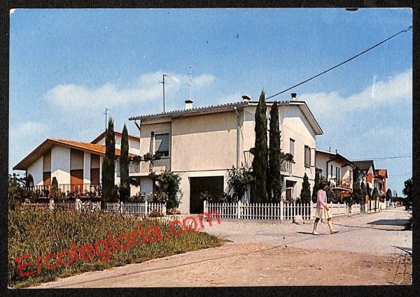 ai1221 - CARTOLINA D'EPOCA - Rovigo Provincia - Zelo