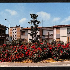 ai1226 - CARTOLINA D'EPOCA - Rovigo Provincia - Zelo