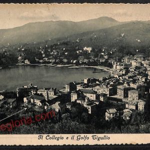 ag1389 - CARTOLINA D'EPOCA - Genova Provincia - Rapallo