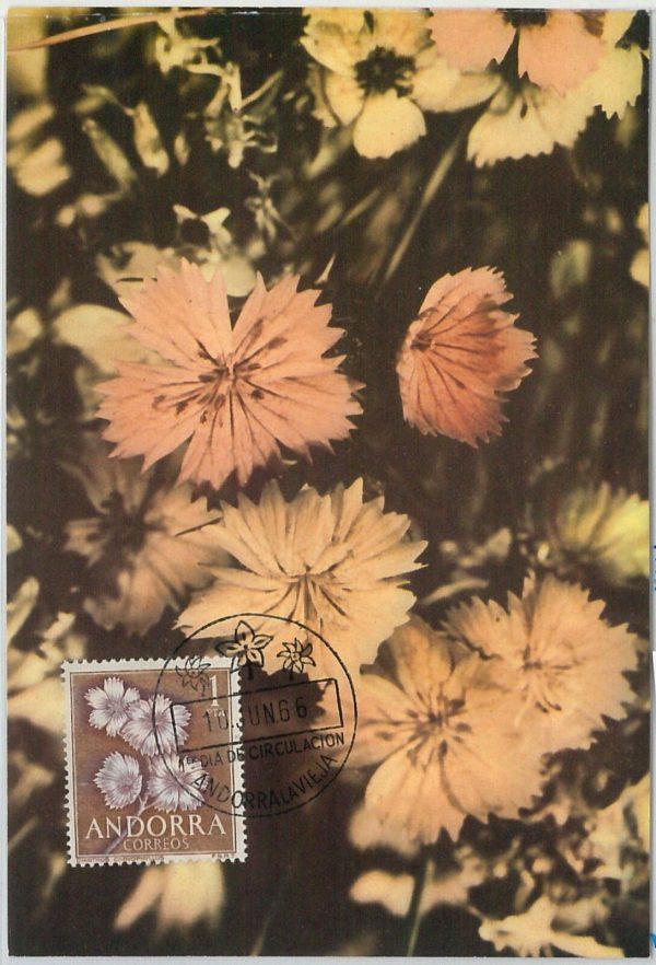 63359 -  SPANISH ANDORRA - POSTAL HISTORY: MAXIMUM CARD  -  FLOWERS 1966