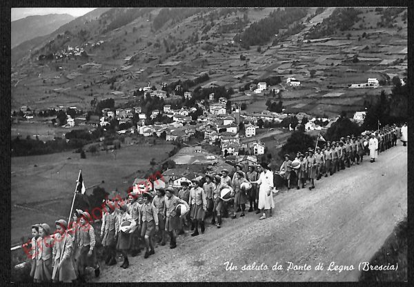 ae4367 - CARTOLINA D'EPOCA - Brescia Provincia -  Ponte di Legno