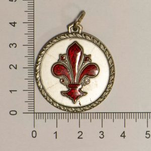 NA0309 - Italia Medaglia Firenze I Mercoledì Di Casa Nannelli